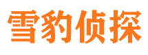 北塔市私家侦探